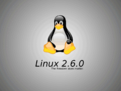 linux查看过去输入命令